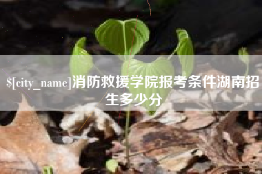 北京消防救援学院报考条件湖南招生多少分