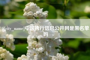 北京中国执行信息公开网是黑名单吗