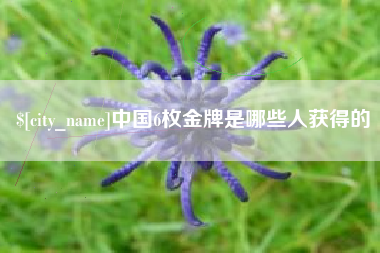 北京中国6枚金牌是哪些人获得的