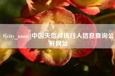 北京中国失信被执行人信息查询公开网址