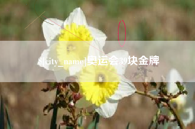 北京奥运会39块金牌