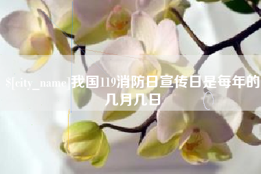 北京我国119消防日宣传日是每年的几月几日