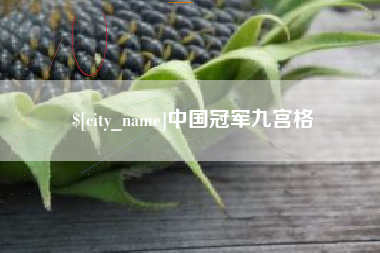 北京中国冠军九宫格
