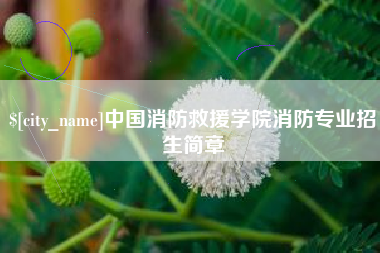 北京中国消防救援学院消防专业招生简章