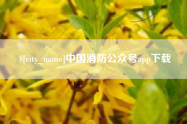 北京中国消防公众号app下载