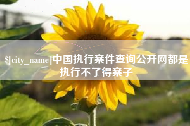 北京中国执行案件查询公开网都是执行不了得案子