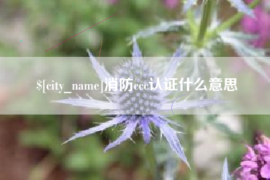 北京消防ccc认证什么意思