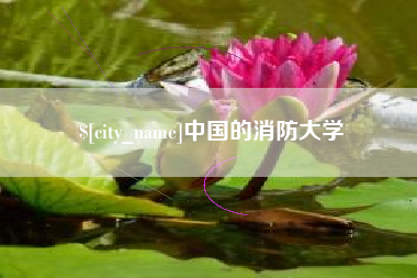 北京中国的消防大学