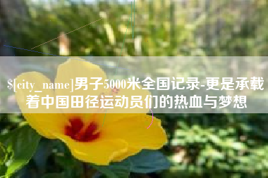 北京男子5000米全国记录-更是承载着中国田径运动员们的热血与梦想