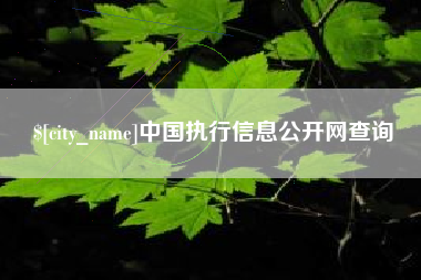 北京中国执行信息公开网查询