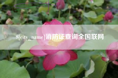 北京消防证查询全国联网