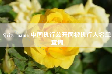 北京中国执行公开网被执行人名单查询