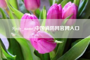 北京中国消防网官网入口