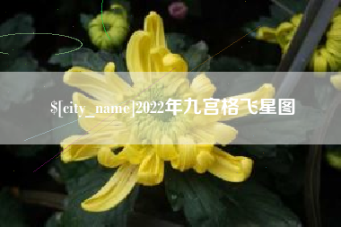 北京2022年九宫格飞星图