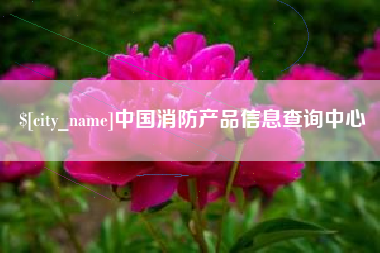 北京中国消防产品信息查询中心