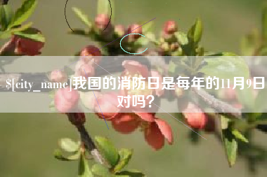 北京我国的消防日是每年的11月9日对吗？