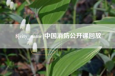 北京中国消防公开课回放