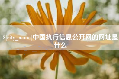 北京中国执行信息公开网的网址是什么