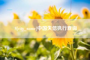 北京中国失信执行查询