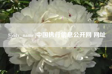 北京中国执行信息公开网 网址