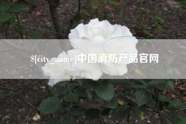北京中国消防产品官网