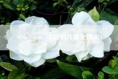 北京中国的几块金牌2021