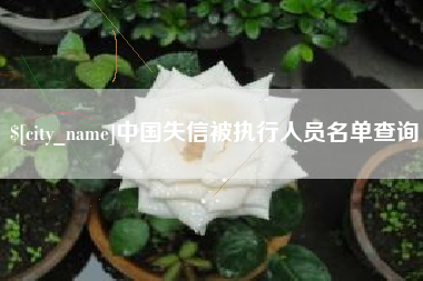 北京中国失信被执行人员名单查询