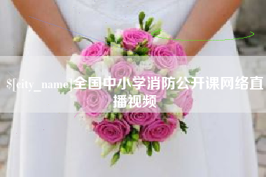 北京全国中小学消防公开课网络直播视频