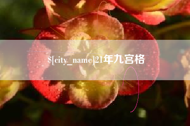 北京21年九宫格