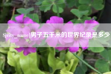 北京男子五千米的世界纪录是多少