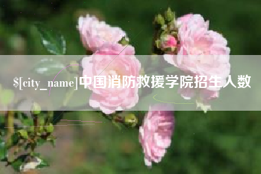 北京中国消防救援学院招生人数