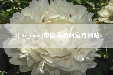 北京中国消防网官方网站