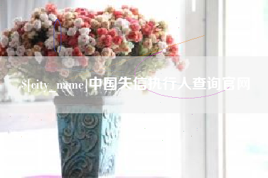 北京中国失信执行人查询官网
