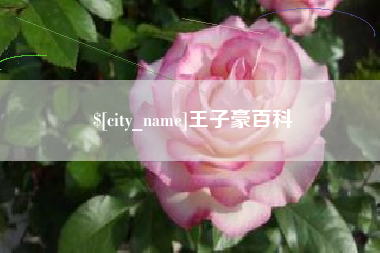 北京王子豪百科