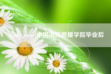 北京中国消防救援学院毕业后