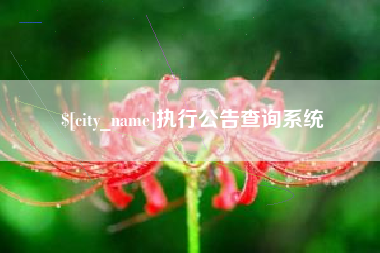 北京执行公告查询系统