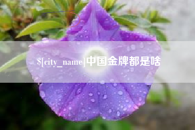 北京中国金牌都是啥