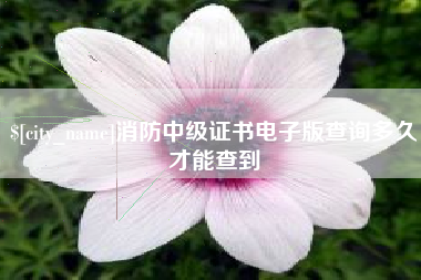 北京消防中级证书电子版查询多久才能查到