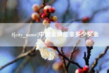 北京中国金牌能拿多少奖金