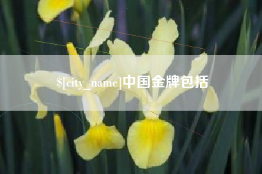 北京中国金牌包括