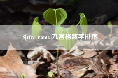北京九宫格数字排序