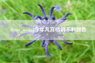 北京今年九宫格的不利颜色