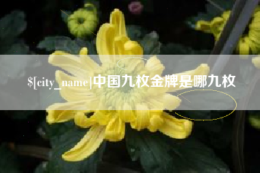 北京中国九枚金牌是哪九枚