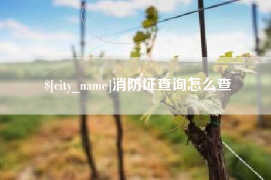 北京消防证查询怎么查