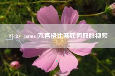 北京九宫格比赛如何取胜视频
