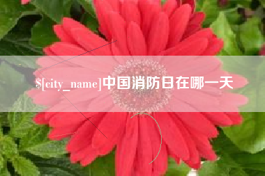 北京中国消防日在哪一天