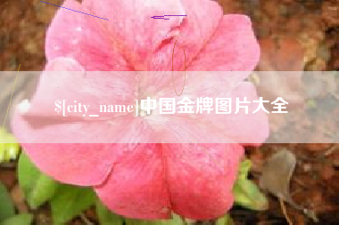 北京中国金牌图片大全