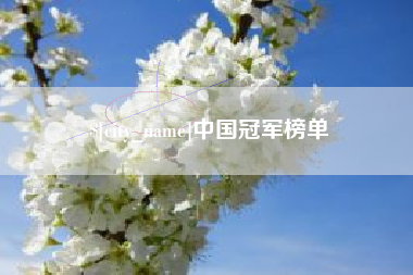 北京中国冠军榜单