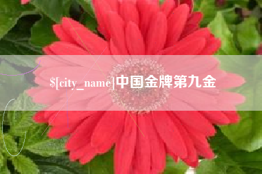 北京中国金牌第九金