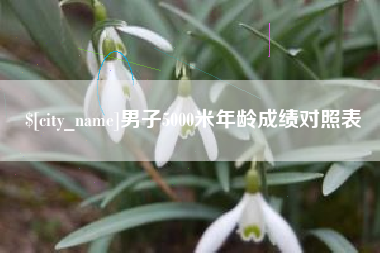 北京男子5000米年龄成绩对照表